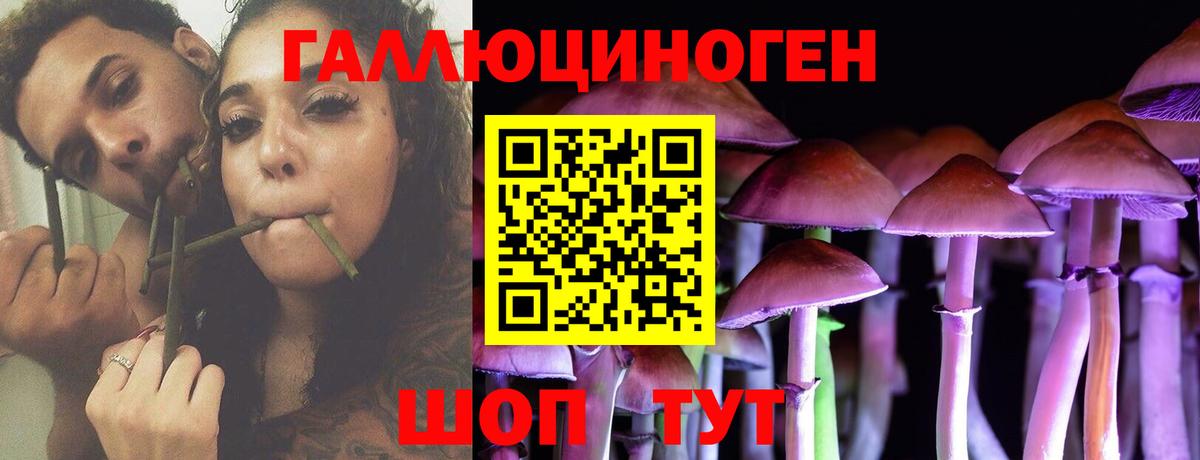Назрань  цены наркотик  Вход с VPN  Псилоцибиновые грибы MAGIC MUSHROOMS 