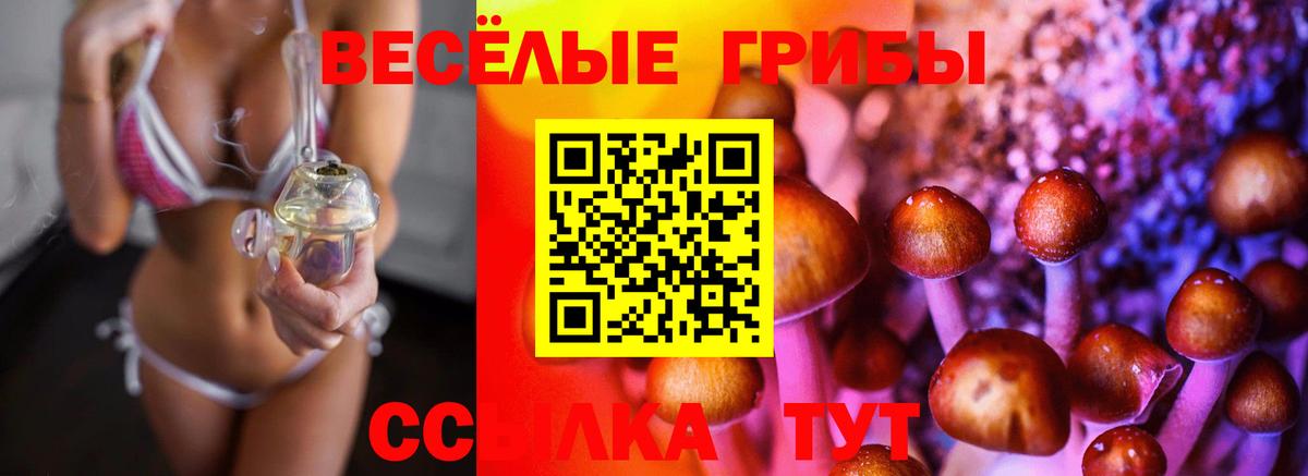 Псилоцибиновые грибы Magic Shrooms Назрань